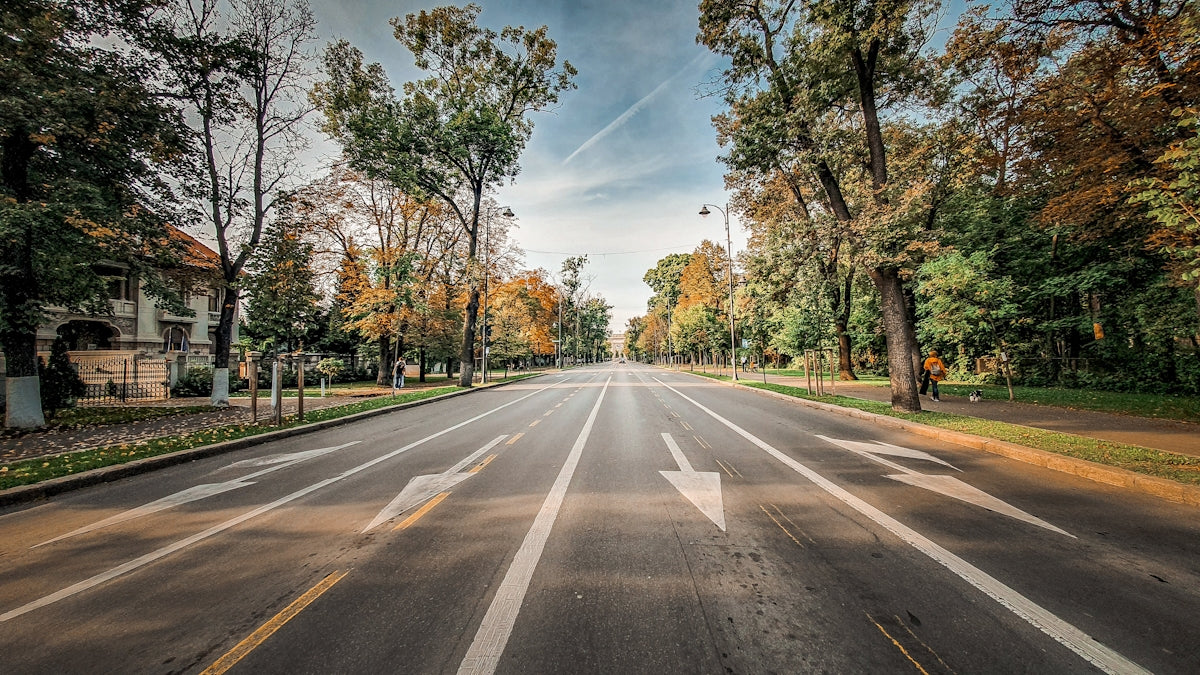gray asphalt road between green trees under blue sky during daytime