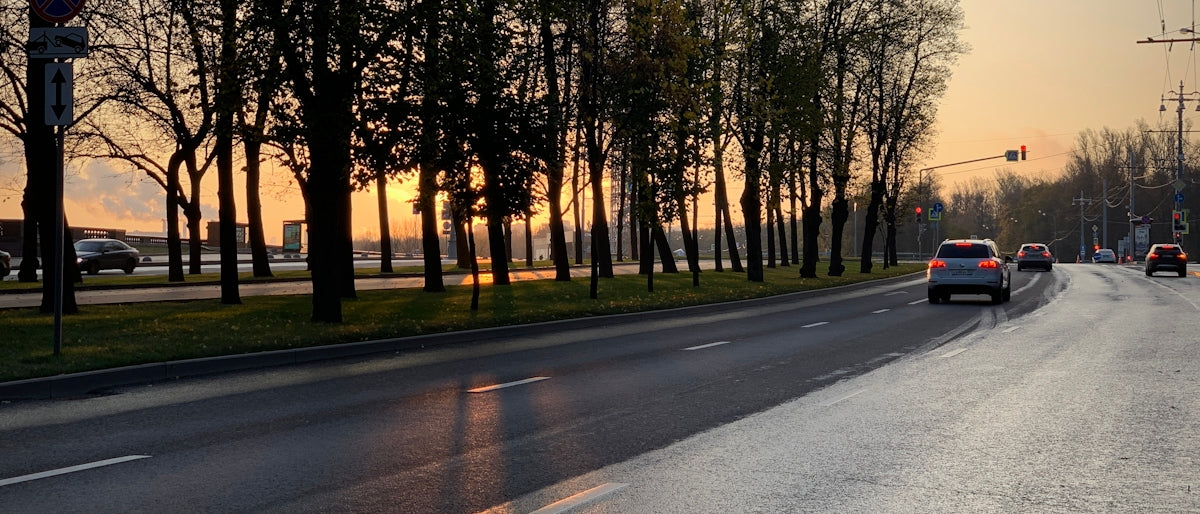 gray asphalt road between trees during daytime